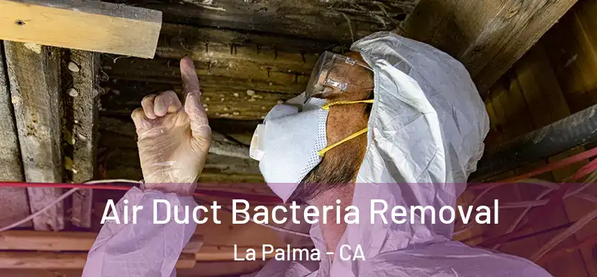 Air Duct Bacteria Removal La Palma - CA