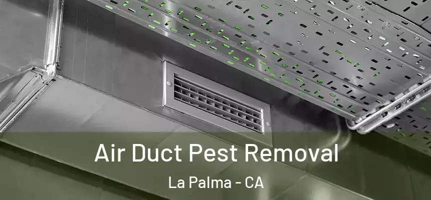 Air Duct Pest Removal La Palma - CA