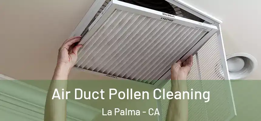 Air Duct Pollen Cleaning La Palma - CA