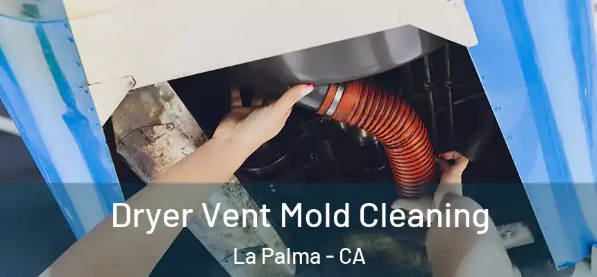  Dryer Vent Mold Cleaning La Palma - CA