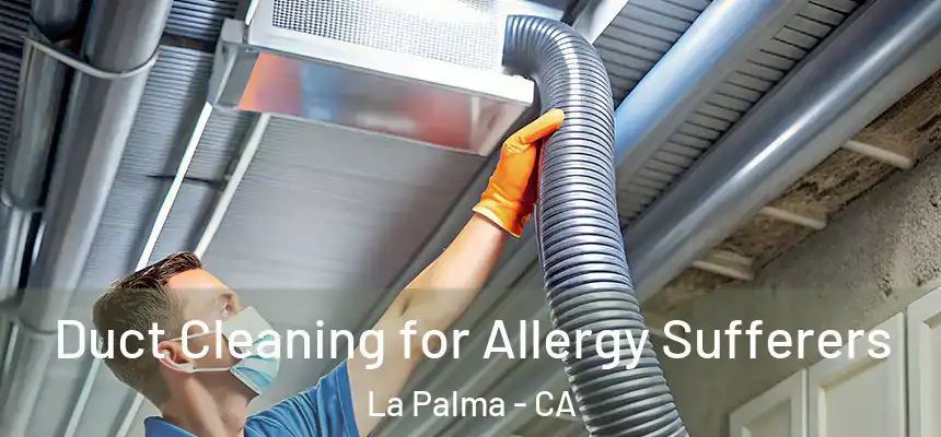  Duct Cleaning for Allergy Sufferers La Palma - CA