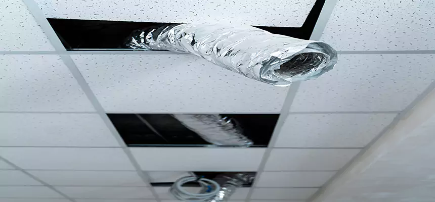 Our Air Duct Pet Hair Removal Services in La Palma, CA