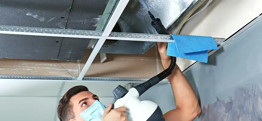 Our Air Duct Rodent Removal Services in La Palma, CA