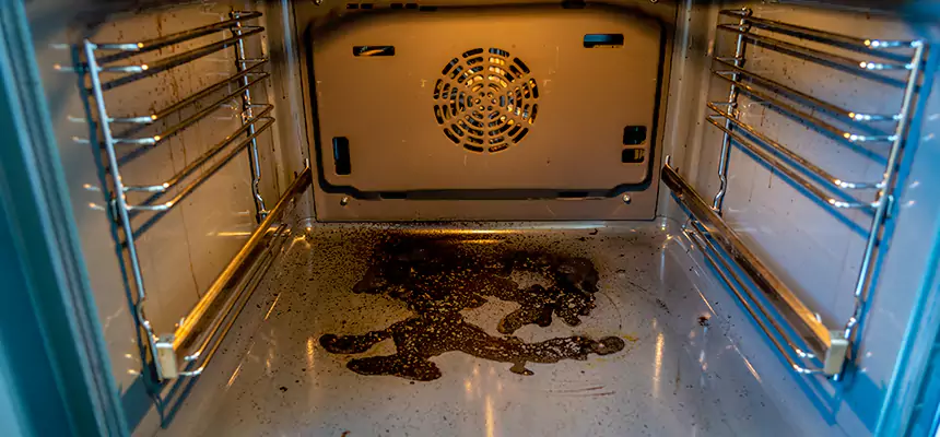 Our Dryer Vent Mold Cleaning Services in La Palma, CA