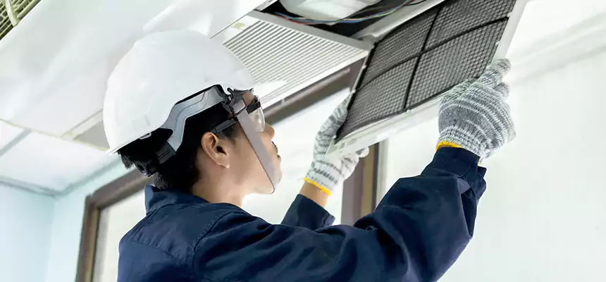 Our Mold & Mildew Removal from Air Ducts Services in La Palma, CA