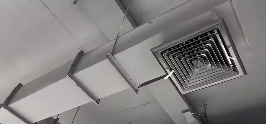 Our Rodent Droppings In Vents Services in La Palma, CA