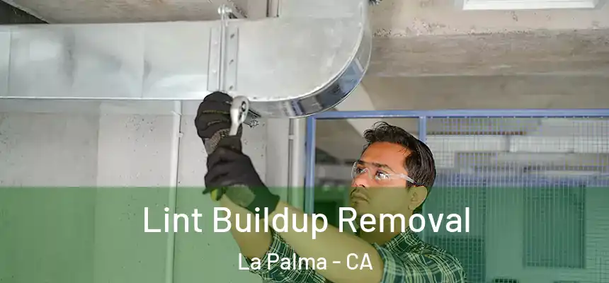  Lint Buildup Removal La Palma - CA