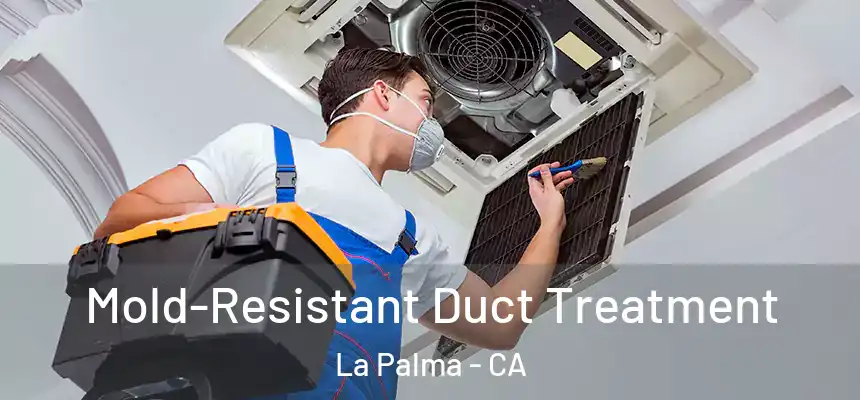  Mold-Resistant Duct Treatment La Palma - CA