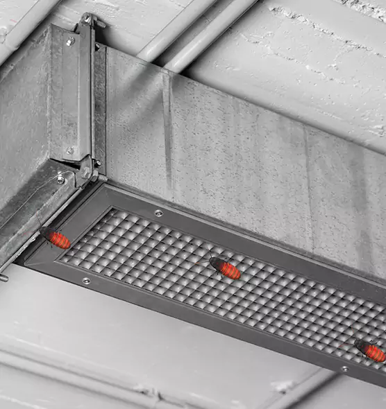 About Air Duct Cockroach Removal in La Palma, CA