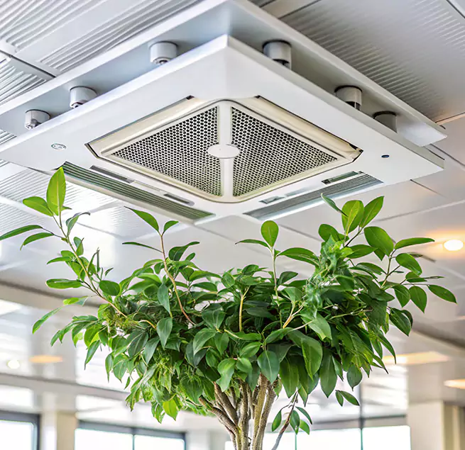 Why Homeowners & Businesses Trust Us in La Palma, CA