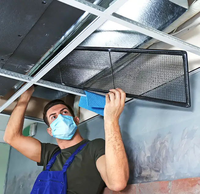 Why Homeowners & Businesses Trust Us in La Palma, CA?